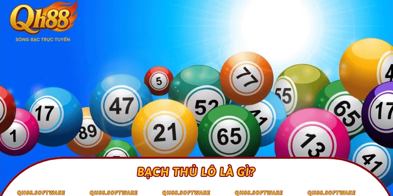 Bạch thủ lô là gì?