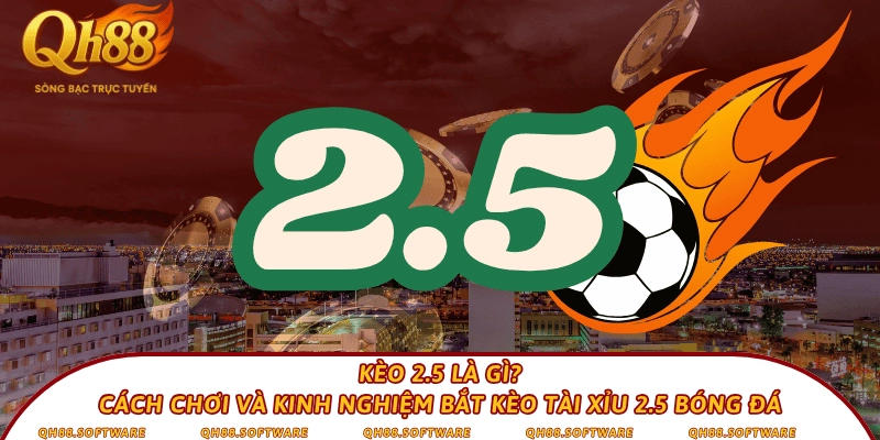 Kèo 2.5 là gì? Cách chơi và kinh nghiệm bắt kèo tài xỉu 2.5 bóng đá